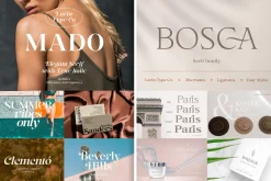 Elegant Serif Font Bundle