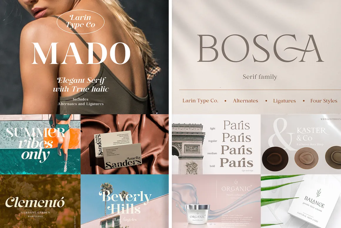 Elegant Serif Font Bundle