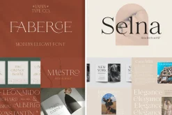 Elegant Serif Font Bundle