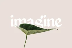 Enchant - Mystical 1600s Typeface