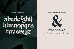 Enchant - Mystical 1600s Typeface
