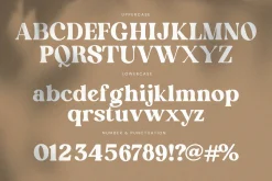 English Island Ligature Serif Font