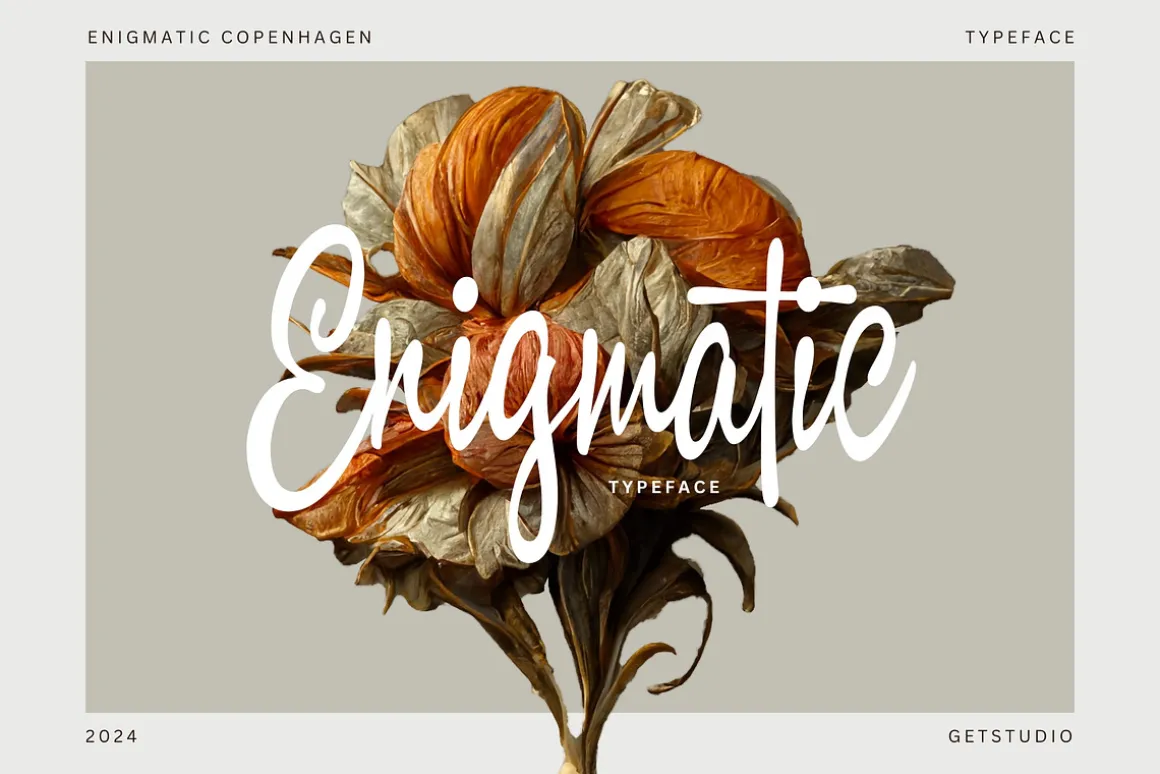 Enigmatic Copenhagen