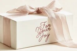 Enlace Romance Delicate Script Font