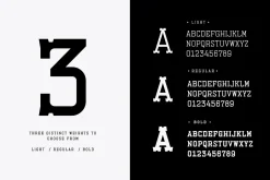 Esbury - A Notched Display Font