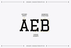 Esbury - A Notched Display Font