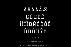 Esbury - A Notched Display Font