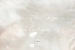 60 Ethereal Light Backgrounds Bundle