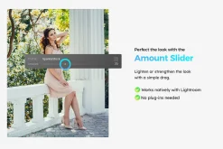 20 Evergreen Lightroom Presets & LUT