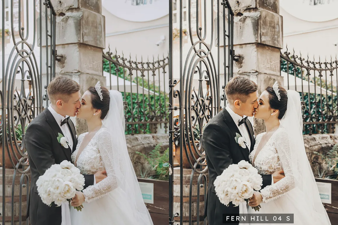 20 Evergreen Lightroom Presets & LUT