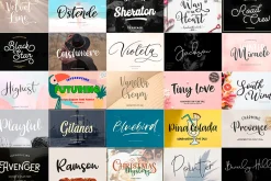 Exclusive Font Bundle