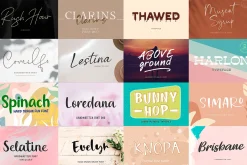 Exclusive Font Bundle