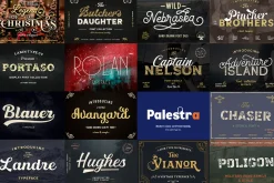 Exclusive Font Bundle