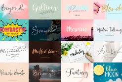 Exclusive Font Bundle