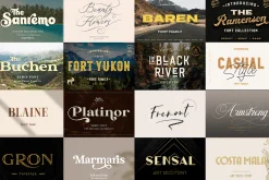 Exclusive Font Bundle
