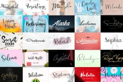 Exclusive Font Bundle