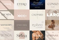 Exclusive Font Bundle