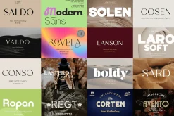 Exclusive Font Bundle