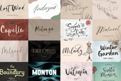 Exclusive Font Bundle