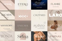Exclusive Font Bundle