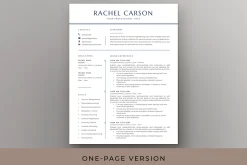 Executive Resume & Cover Letter Word