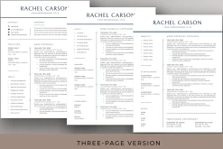 Executive Resume & Cover Letter Word