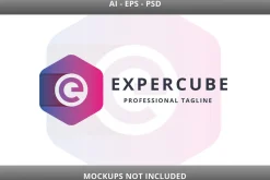 Expertize Cube E Letter Logo
