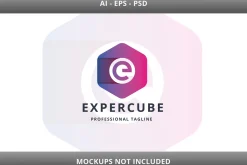 Expertize Cube E Letter Logo