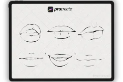 Face Stamp Brushes Procreate