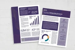 Fact Sheet Template