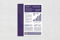 Fact Sheet Template