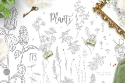 Fairy Garden 3 - Romantic Forest
