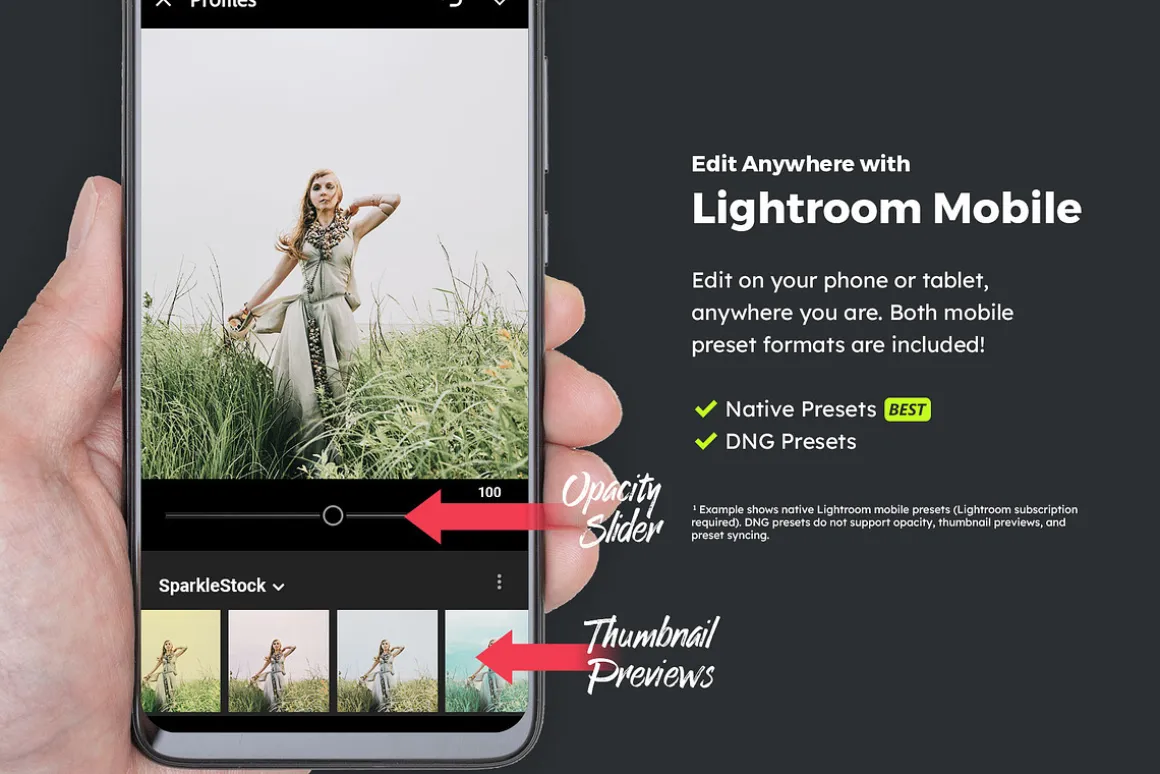 20 Fairytale Lightroom Presets & LUT