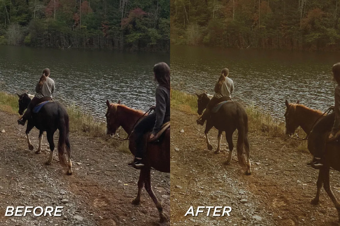 25 Fall Film Lightroom Presets