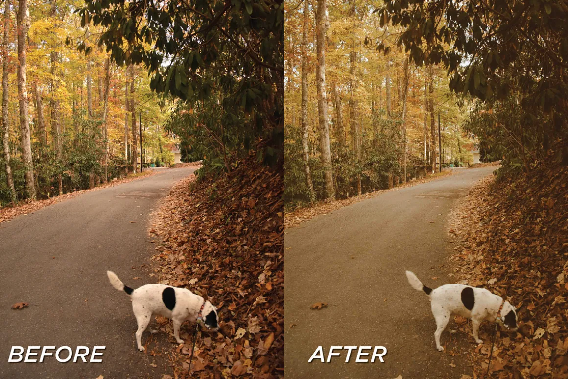 25 Fall Film Lightroom Presets
