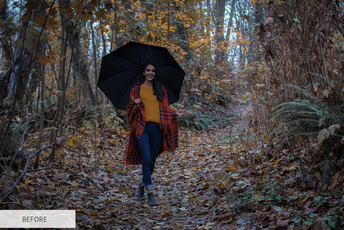 Fall Overlays Photoshop