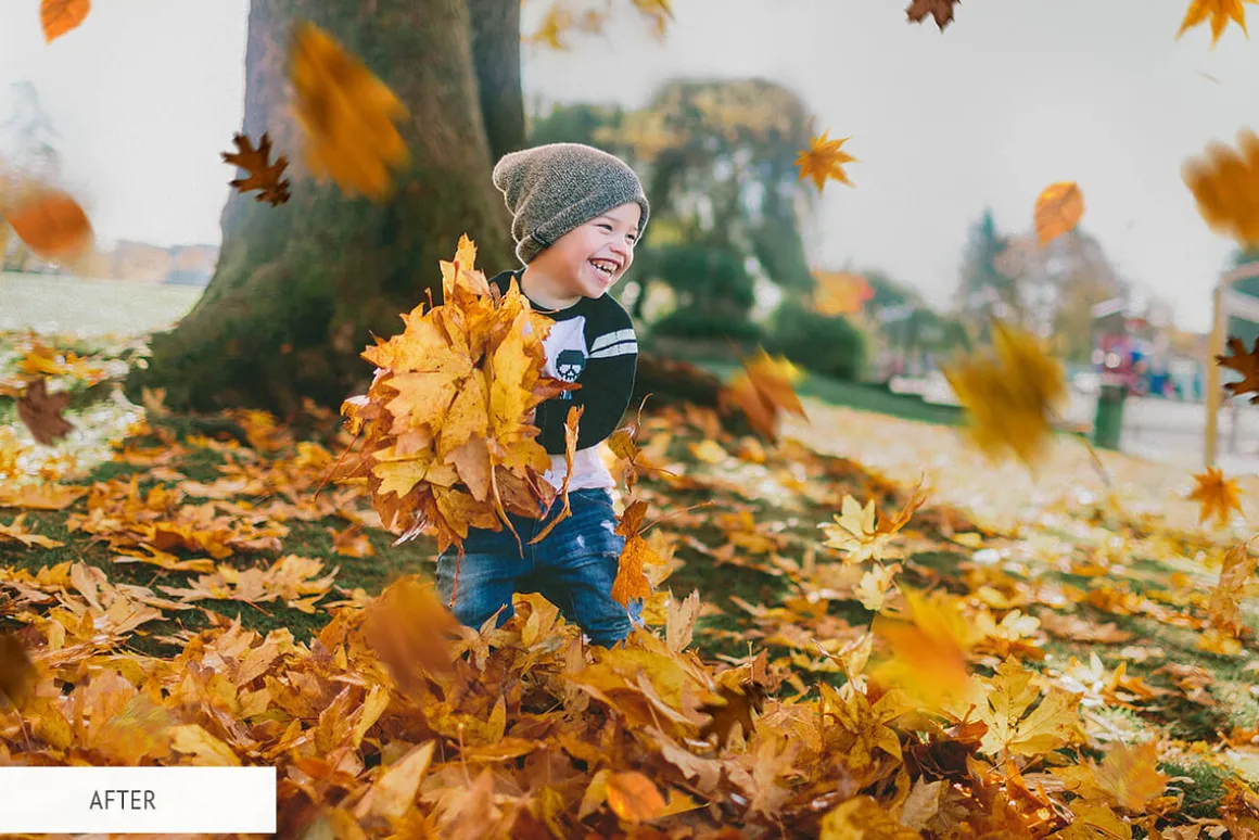 Fall Overlays Photoshop