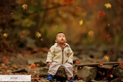 Fall Overlays Photoshop