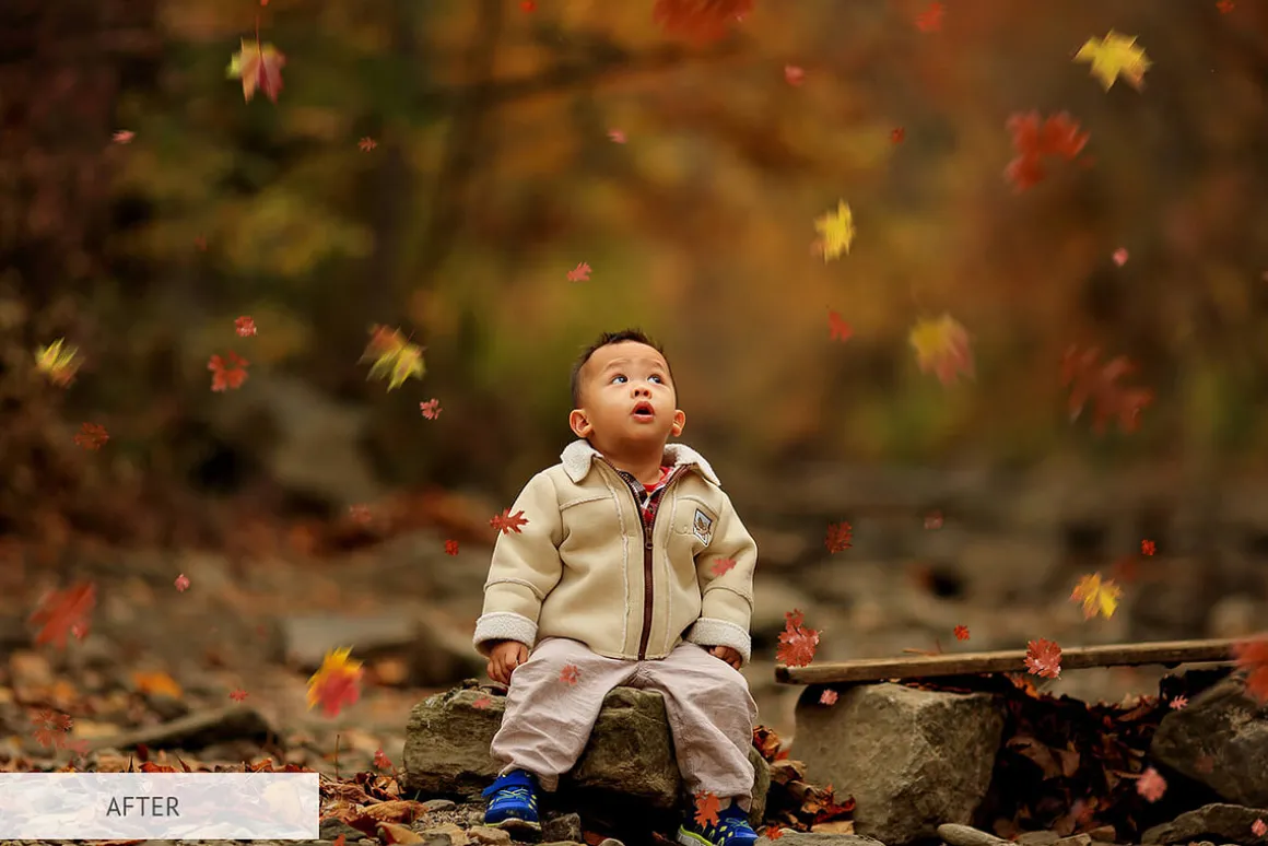 Fall Overlays Photoshop