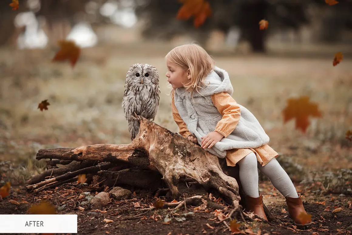 Fall Overlays Photoshop