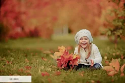 Fall Overlays Photoshop