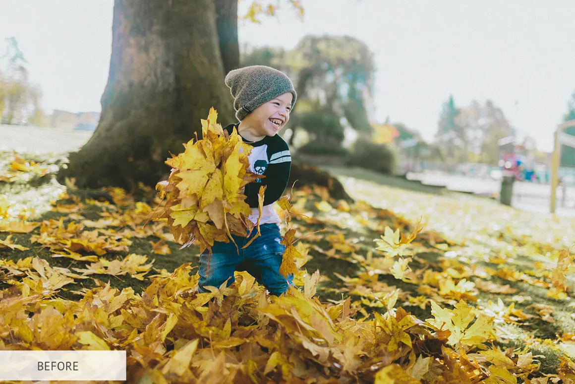 Fall Overlays Photoshop