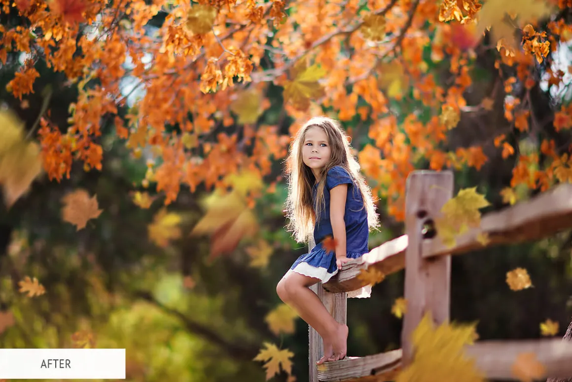 Fall Overlays Photoshop