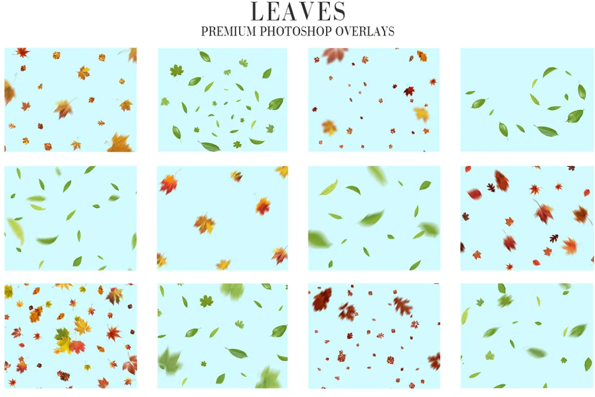 Fall Overlays Photoshop