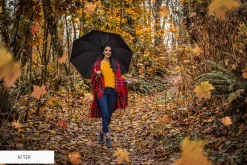 Fall Overlays Photoshop