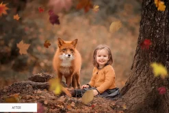 Fall Overlays Photoshop