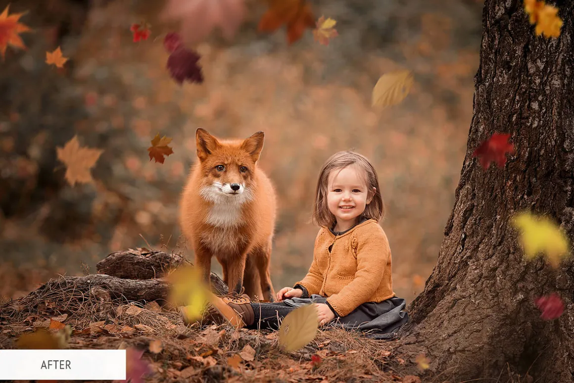 Fall Overlays Photoshop
