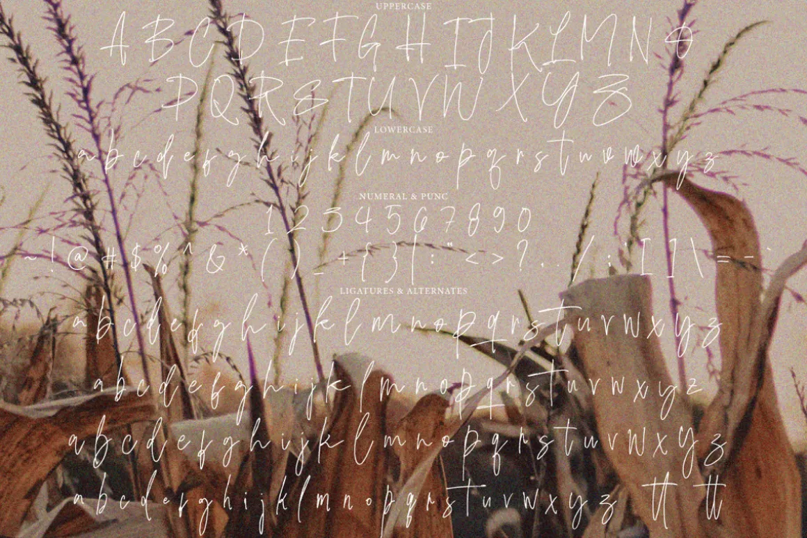 Falsoky - Handwritten Signature