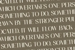 Fanlste Ligature Typeface Font