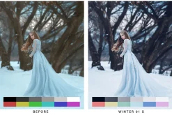 50 Fantasy Lightroom Presets & LUTs